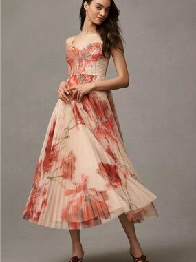 Hutch Amara Corset Pleated Tulle Fit & Flare Midi Dress
